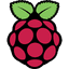 raspberrypi icon